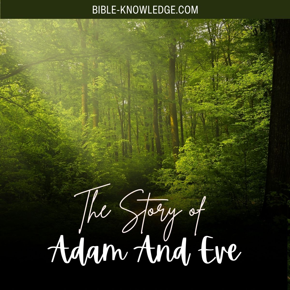 The Story of Adam And Eve