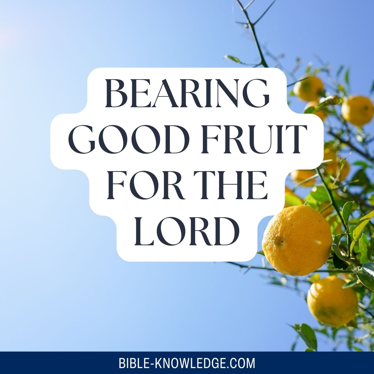 Bearing Good Fruit for the Lord