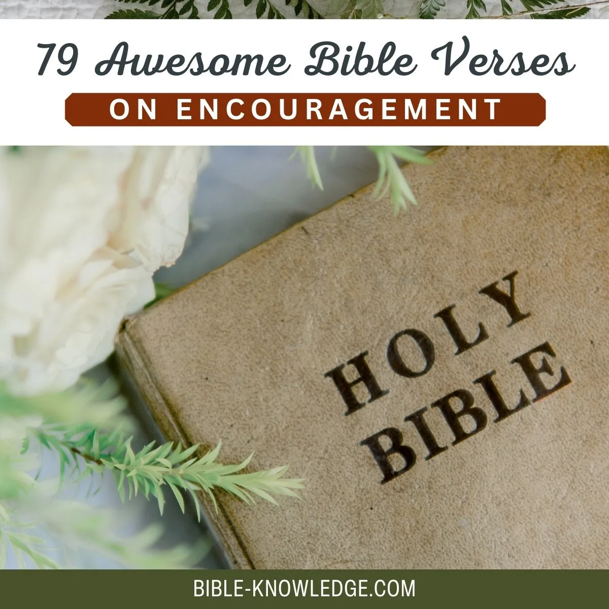 79 Awesome Bible Verses on Encouragement