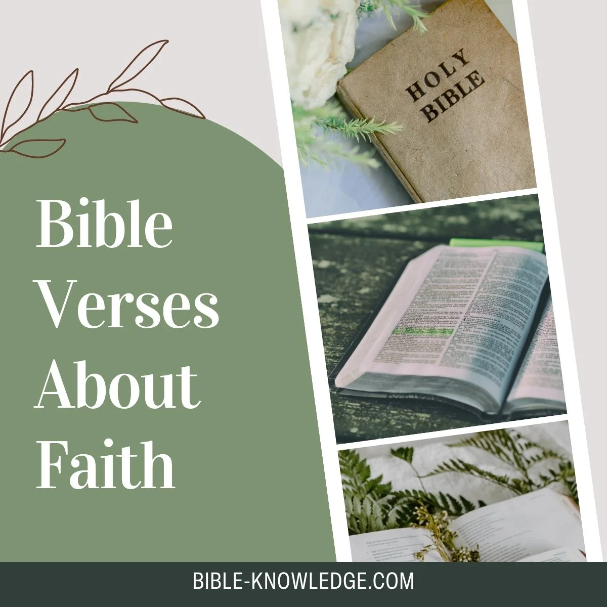 Bible Verses About Faith