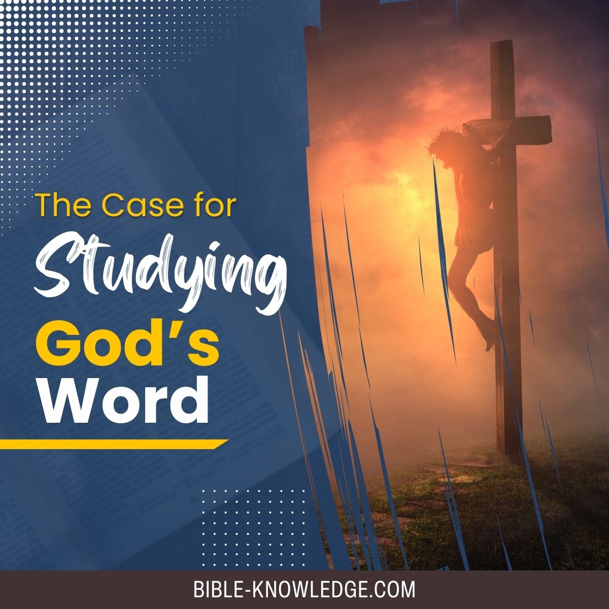 The Case for Studying God's Word