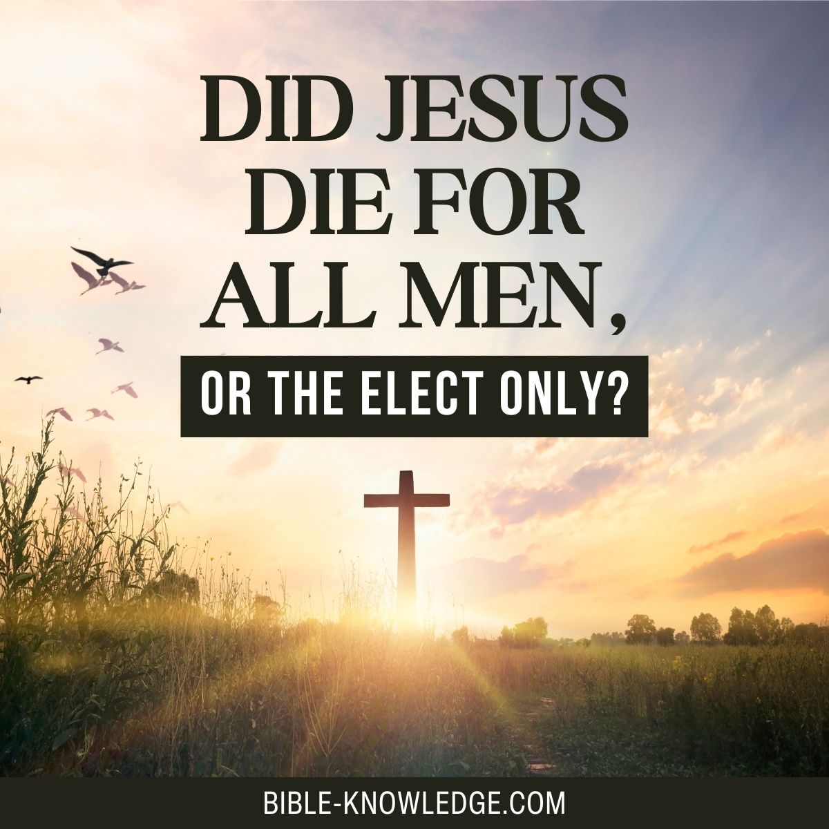 Did Jesus Die for All Men, or the Elect Only?