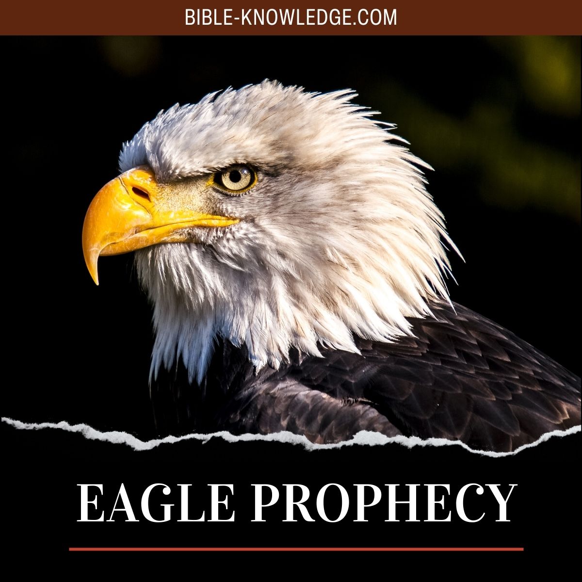 Eagle Prophecy