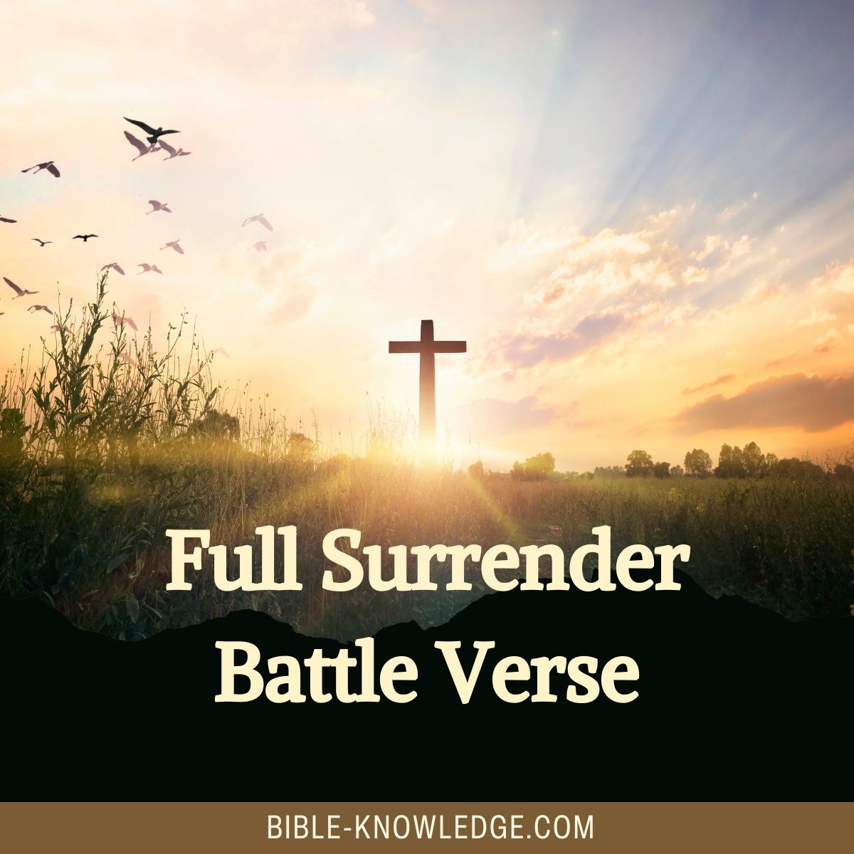 Full Surrender Battle Verse