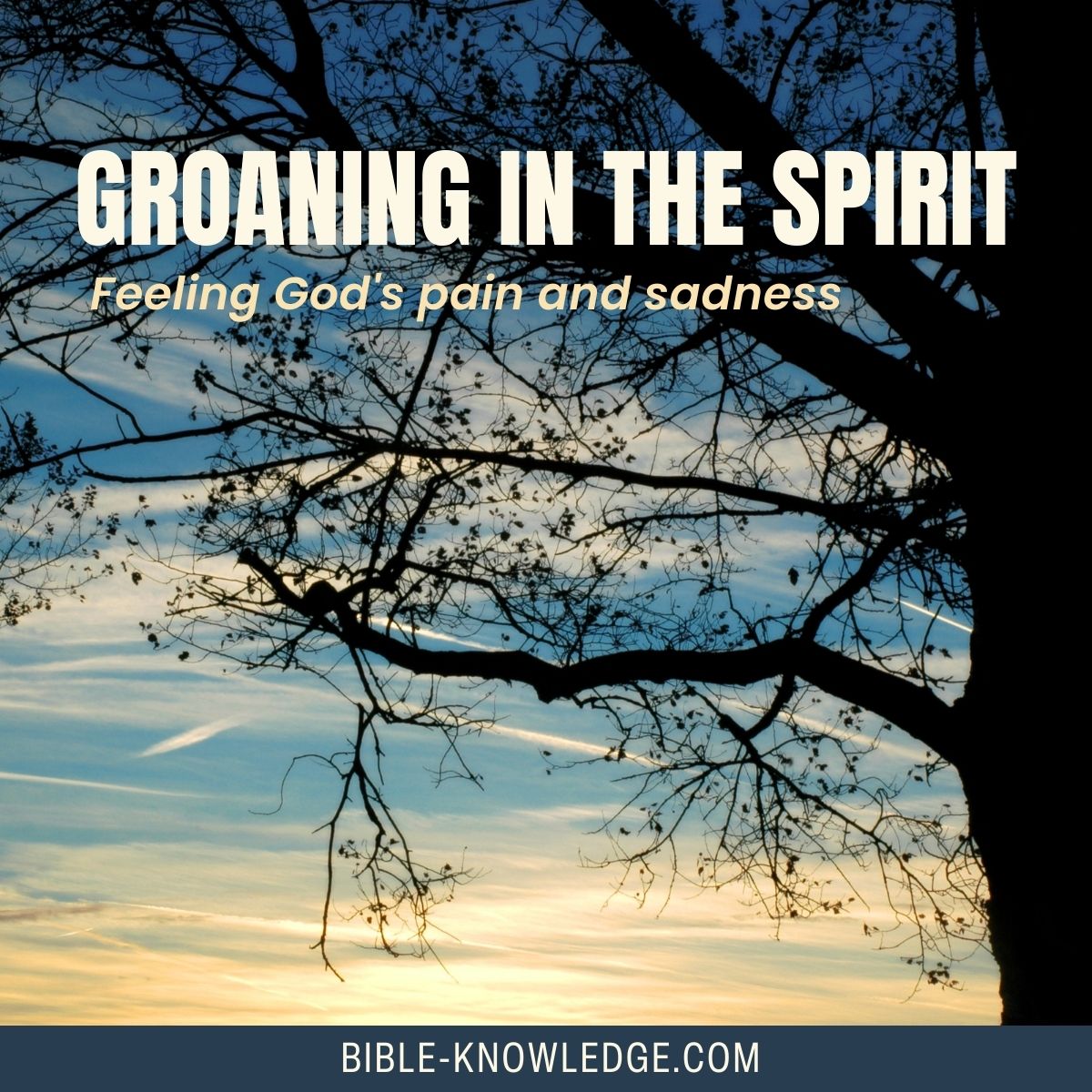 Groaning In The Spirit