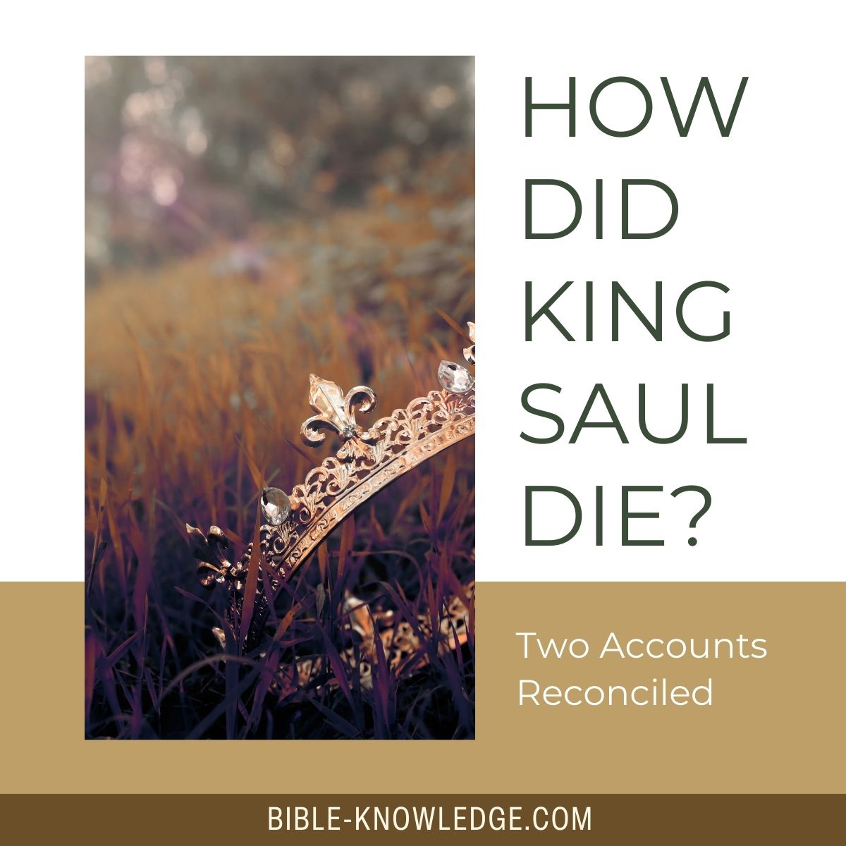 How Did King Saul Die? Two Accounts Reconciled
