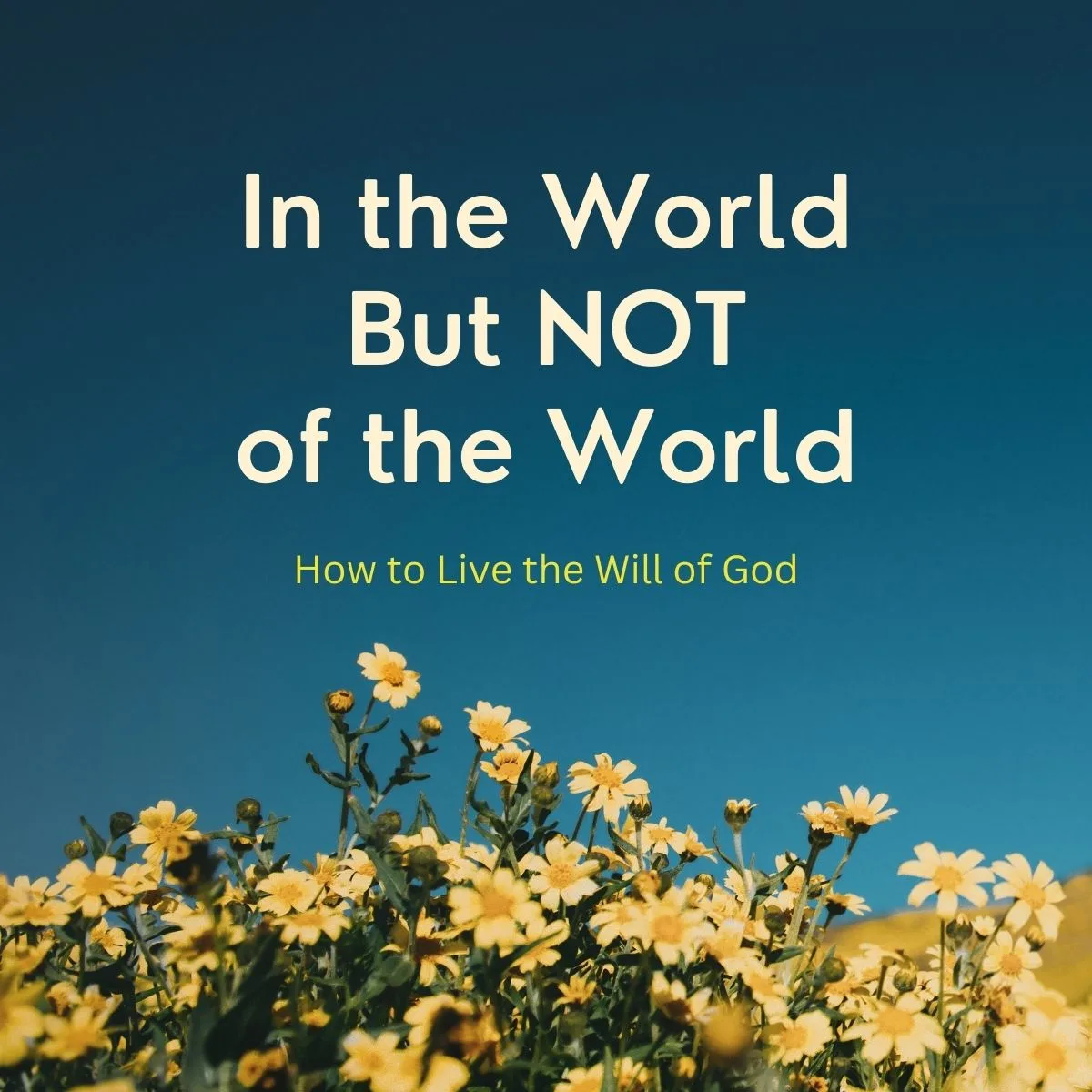 In the World – But Not of the World