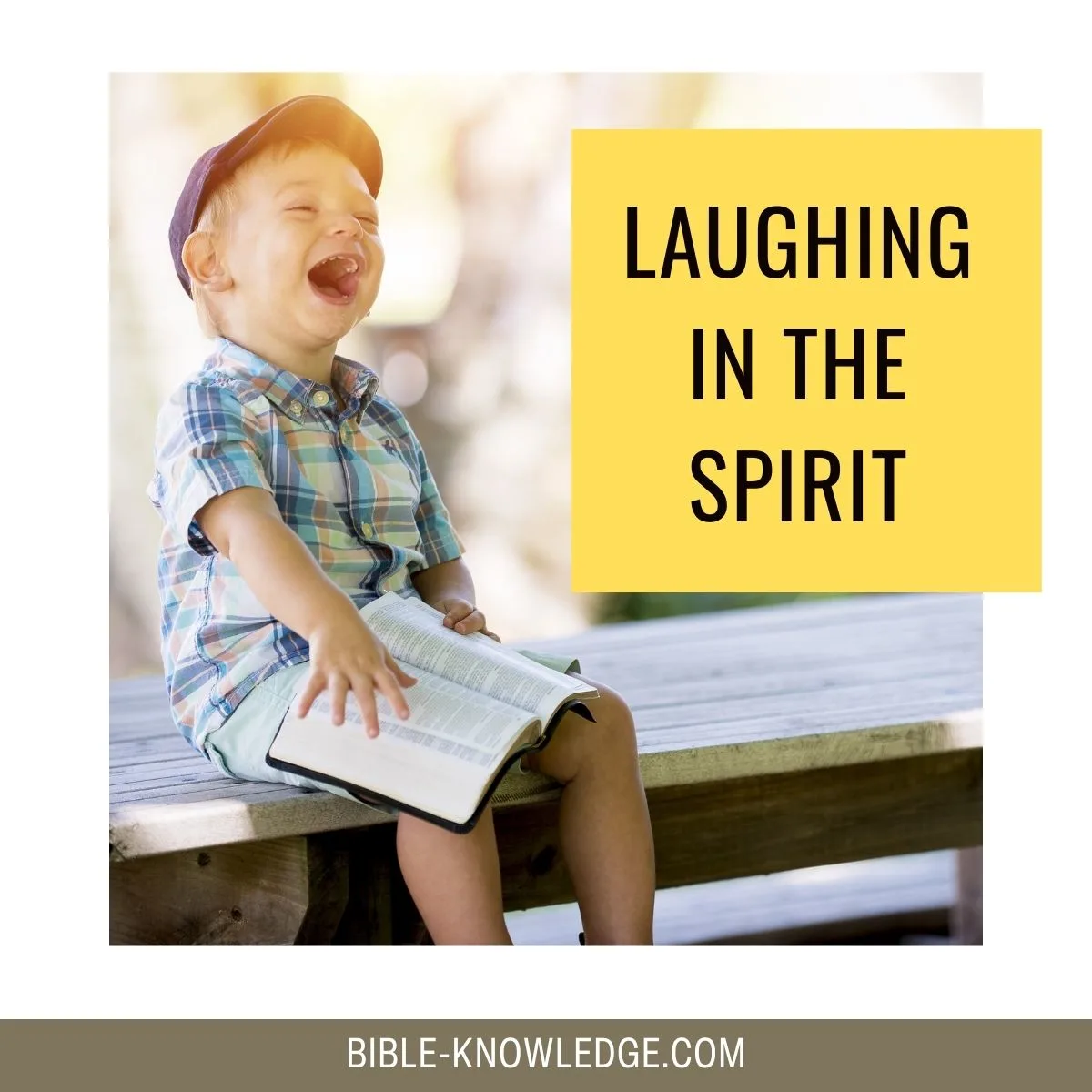 Laughing In The Spirit