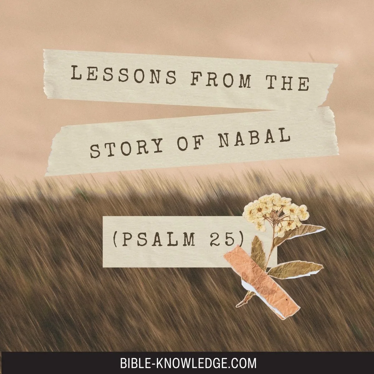 Lessons from the Story of Nabal