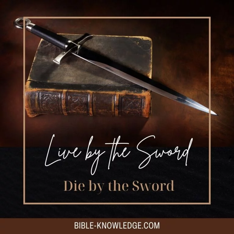Live by the Sword – Die by the Sword