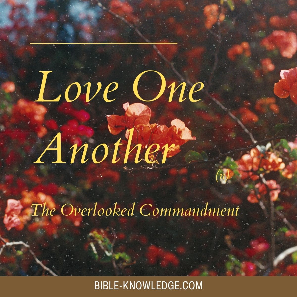 Love One Another – The Overlooked Commandment
