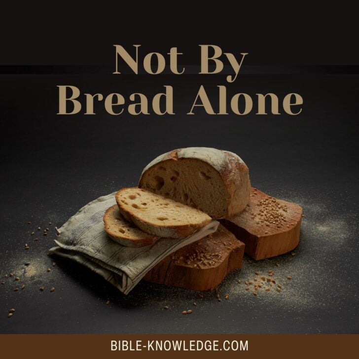 Not By Bread Alone What Did Jesus Mean By This?
