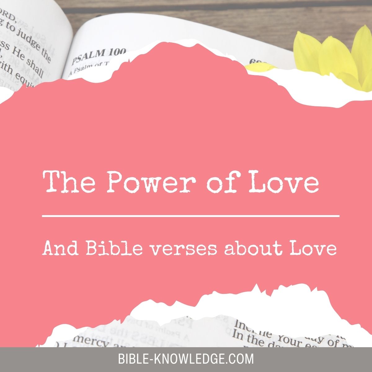 The Power of Love And Bible Verses About Love