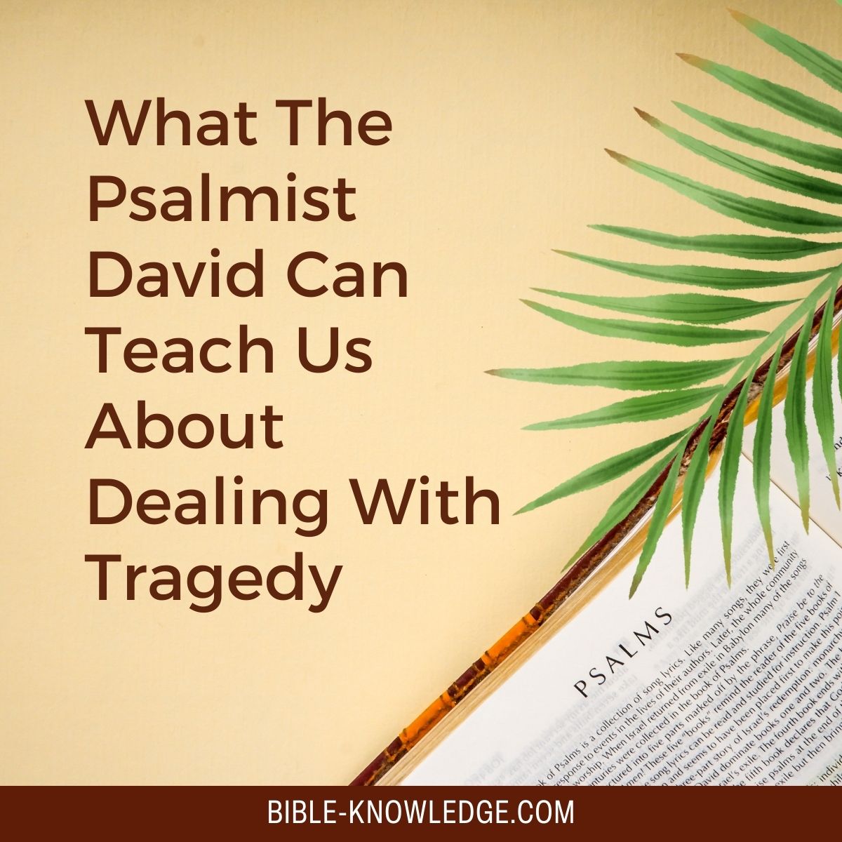 What The Psalmist David Can Teach Us About Dealing With Tragedy