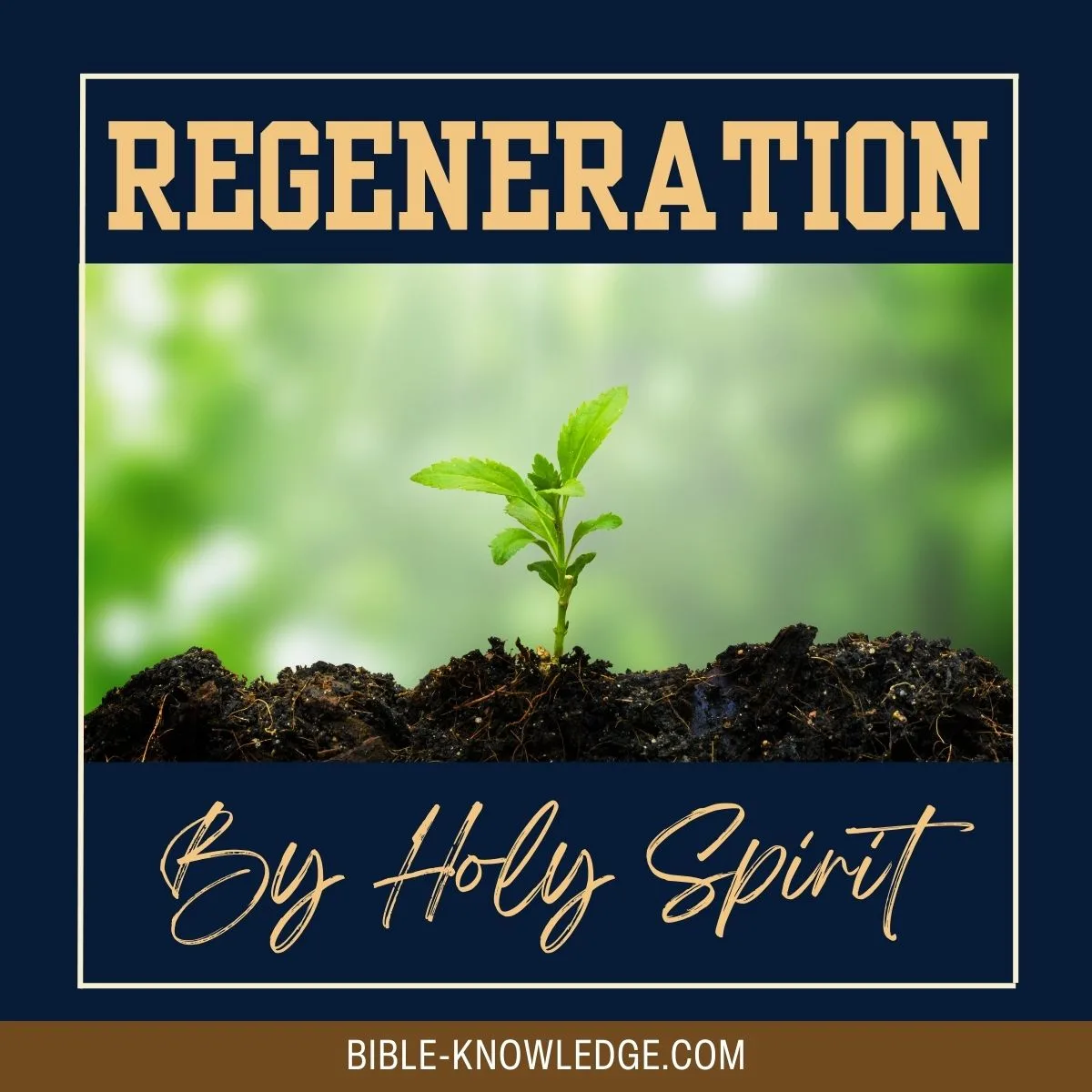 Regeneration By Holy Spirit
