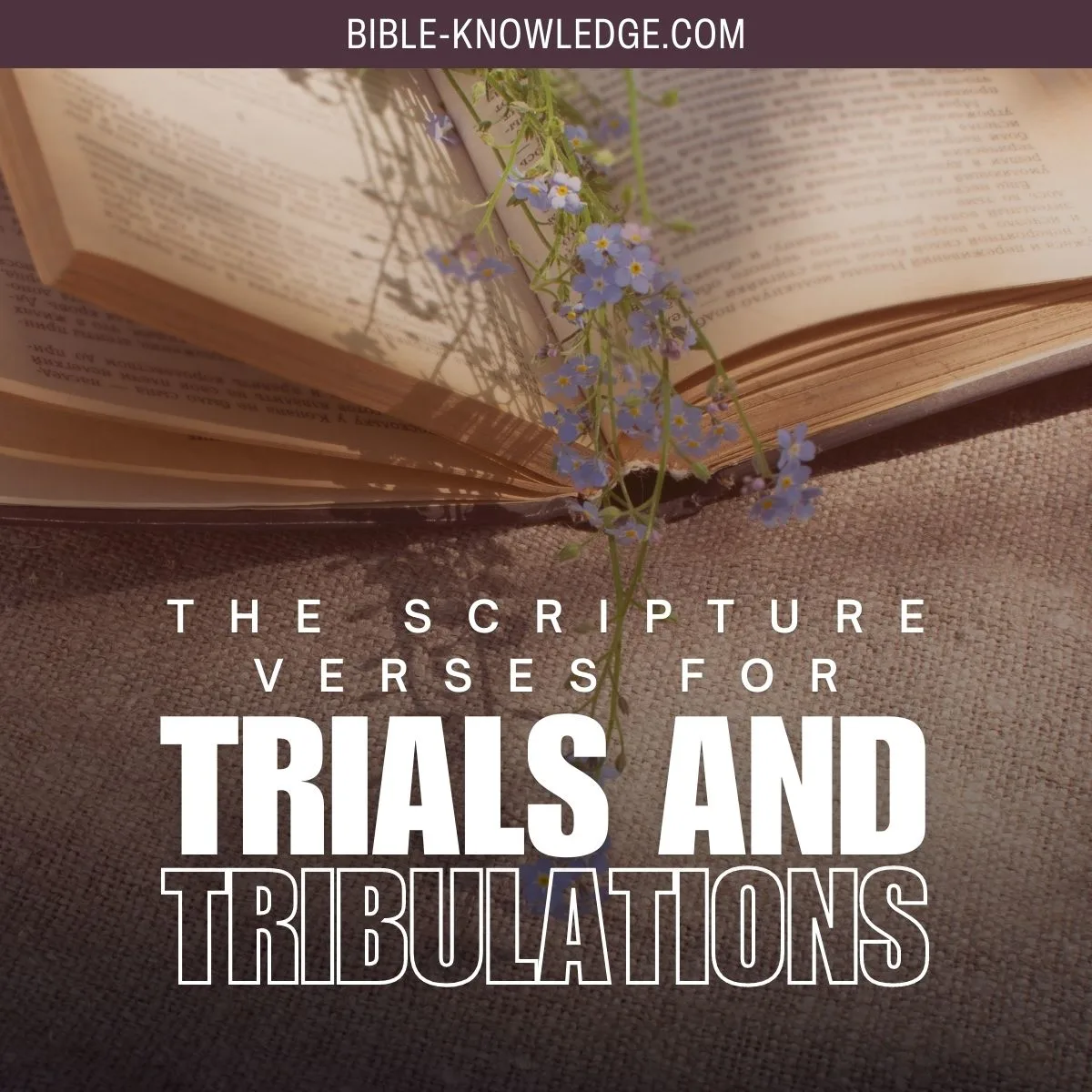 The Scripture Verses For Trials and Tribulations