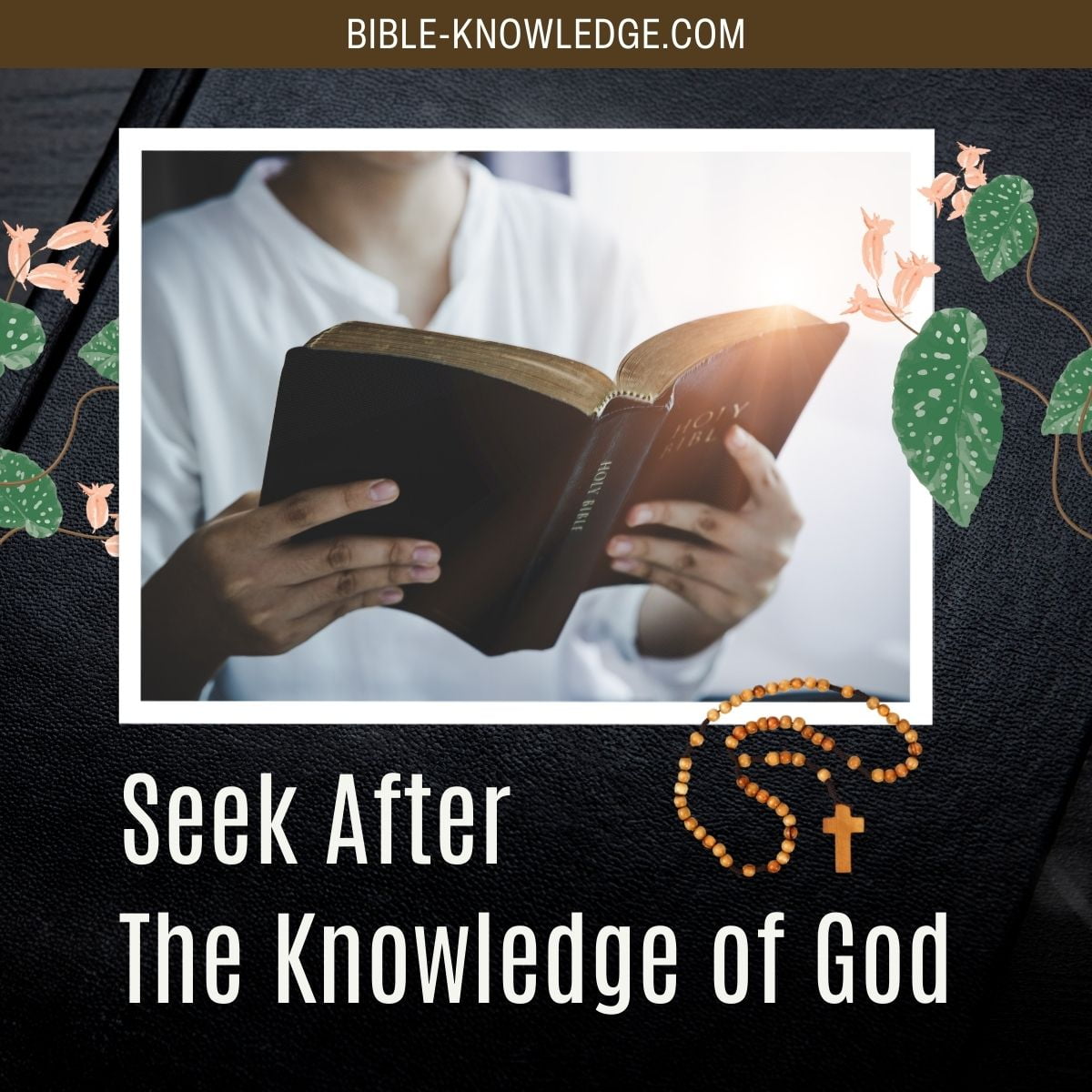 Learning How To Seek After The Knowledge of God