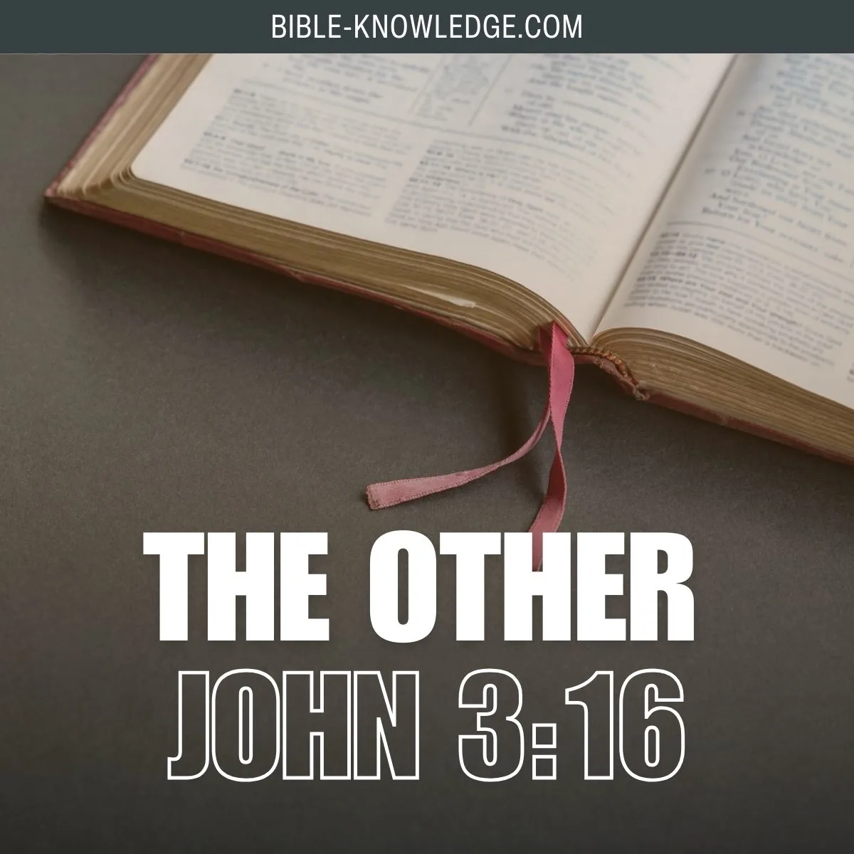 The Other John 3:16