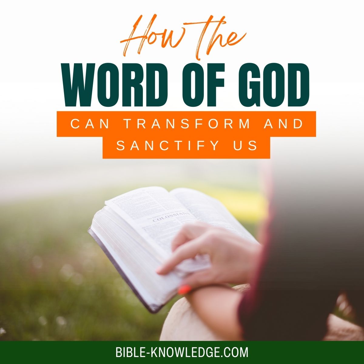 How The Word of God Can Transform and Sanctify Us