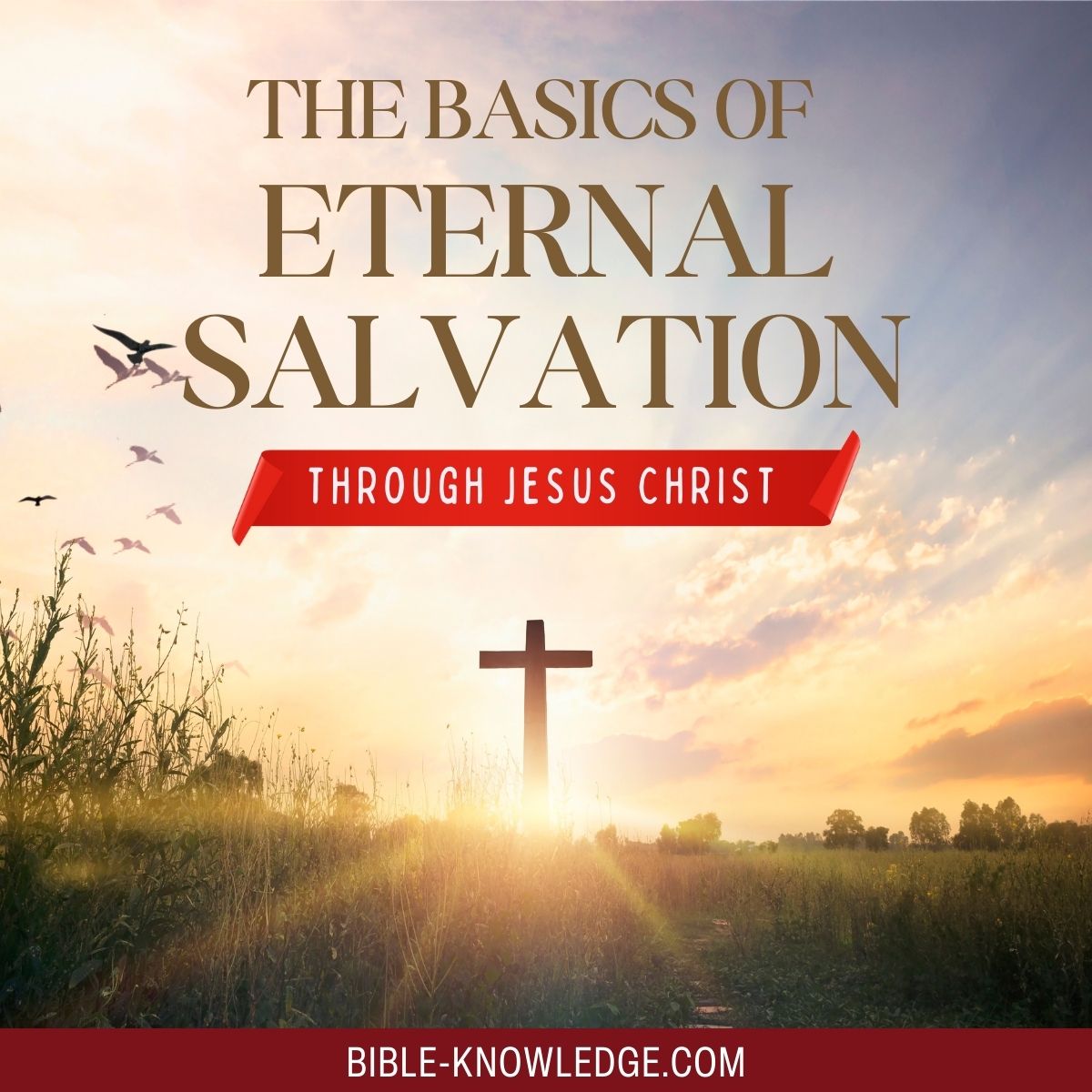 The Basics of Eternal Salvation Through Jesus Christ