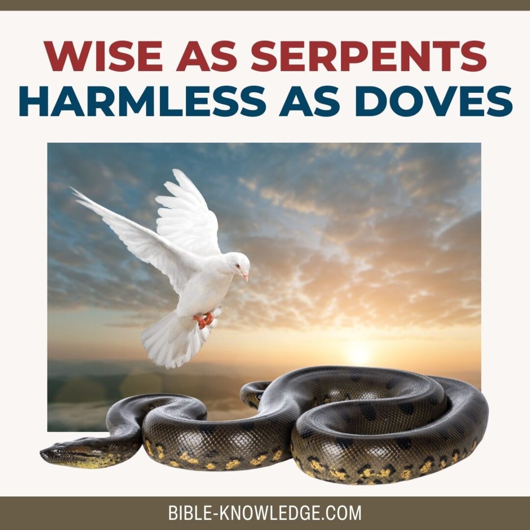 Wise as Serpents - Harmless as Doves - Biblical Commentary