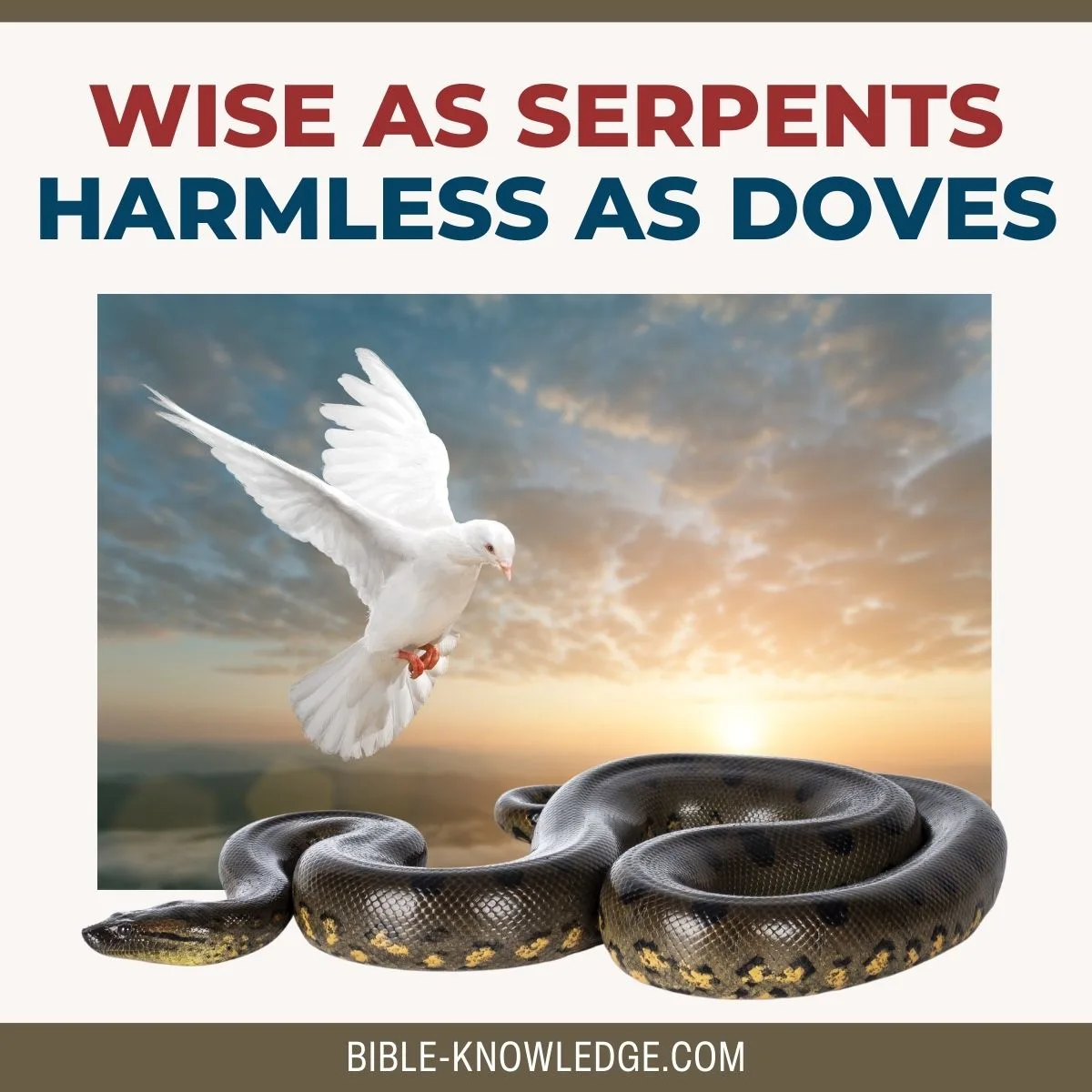 Wise As Serpents – Harmless As Doves
